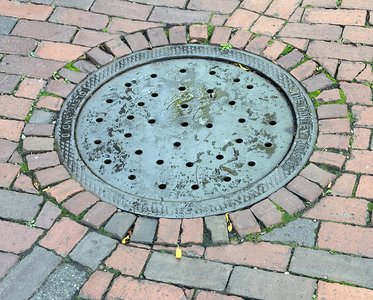 img_0881.jpg