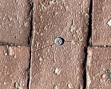 img_1549.jpg