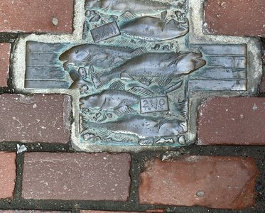 img_8669.jpg